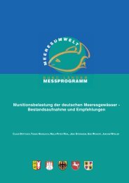 Munitionsbelastung der deutschen Meeresgewässer - Chemsea