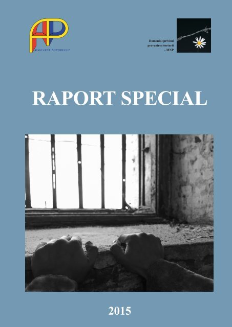 Raport Special Mnp Decembrie2015