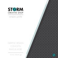 PORTFOLIO STORM