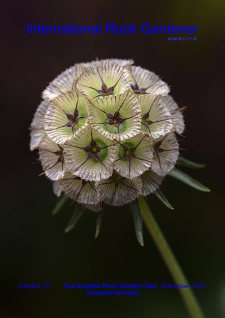 International Rock Gardener