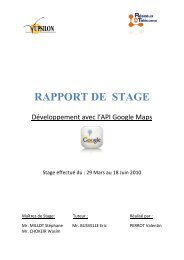 RAPPORT DE STAGE - IUT Dijon