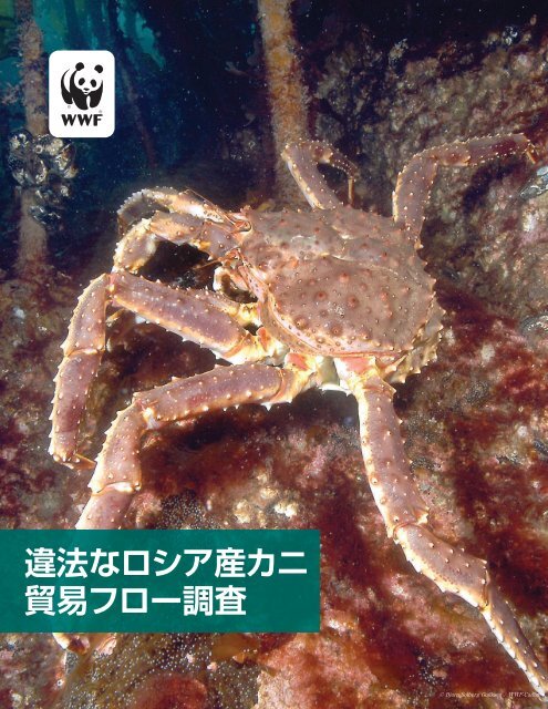 違 法 なロシア 産 カニ 貿 易 フロー 調 査