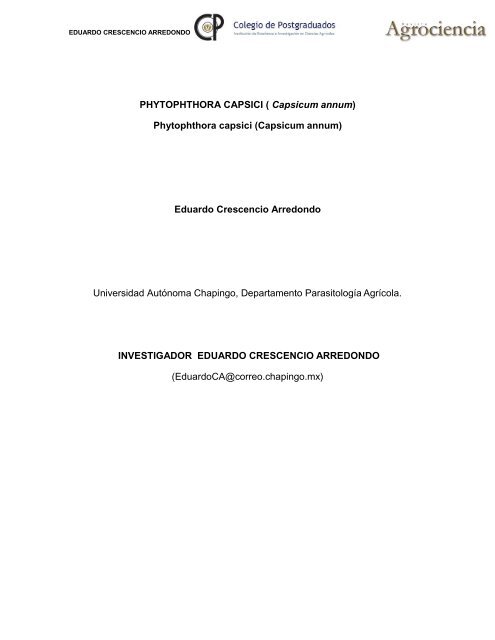 PHYTOPHTHORA CAPSICI ( Capsicum annum)