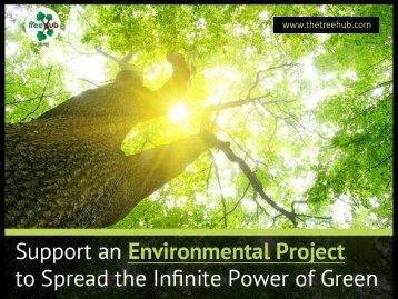 Support Sustainability Projects to Save Environment