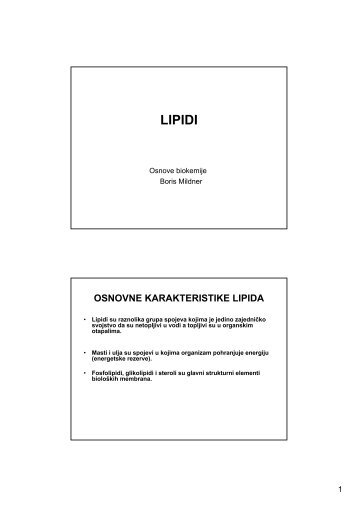 14obk-p12-lipidi