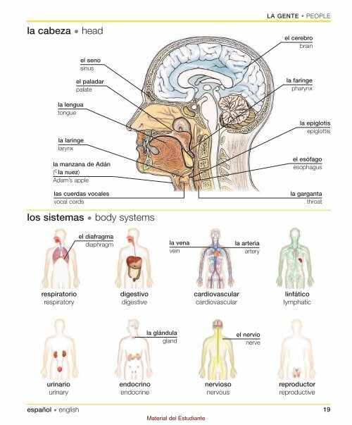 Spanish English Bilingual Visual Dictionary