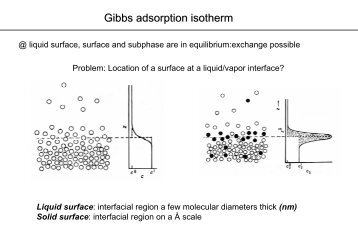 Gibbs adsorption isotherm