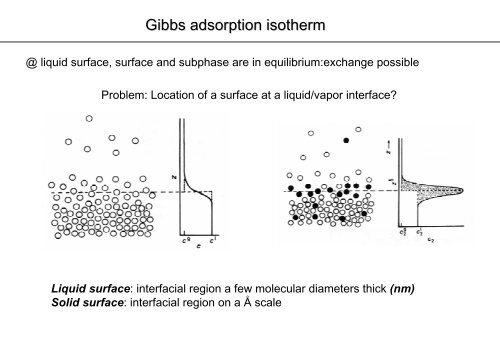 Gibbs adsorption isotherm