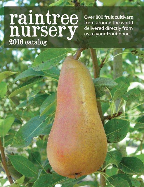 Pyrus X Bosc Bosc Pear from Prides Corner Farms