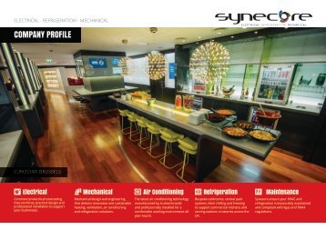 Synecore company profile final Dec 2015