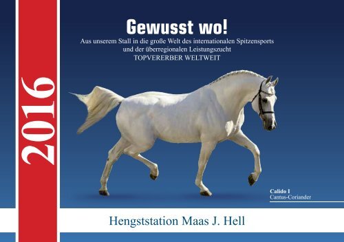 15-12-18_Hengstkatalog16_Inhalt-final_WEB