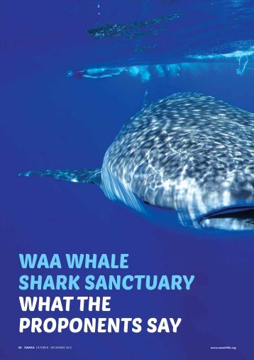 Swara2013-Bassen whaleshark proponent