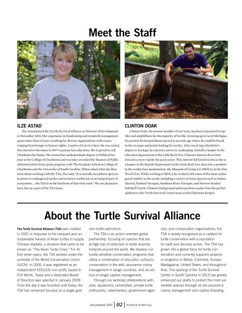 Turtle Survival