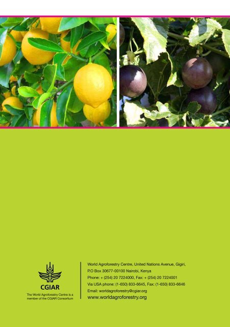 Fruit Tree Portfolios for Improved Diets and Nutrition in Machakos County Kenya