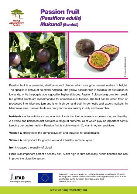 Fruit Tree Portfolios for Improved Diets and Nutrition in Machakos County Kenya