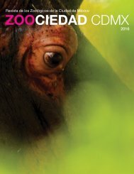revista-zoociedadcdmx-armada