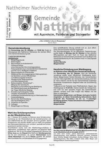 Ferienkurs 18.30 Uhr Kompaktkurs (Theorie in 7 ... - Nattheim