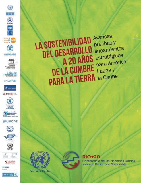 La sostenibilidad del desarrollo a 20 años de la cumbre para la tierra: avances, brechas y lineamientos estratégicos para América Latina y el Caribe