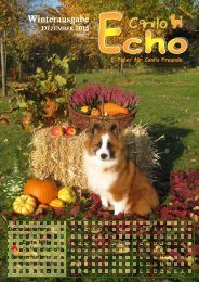 Canilo-Echo-Winter-2015-12-01