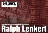 Ralph Lenkert - Eine Zwischenbilanz des Bundestagsabgeordneten
