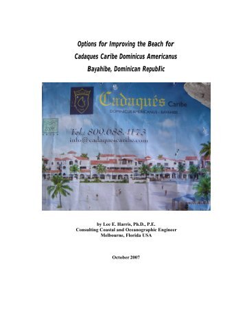 Options for Improving the Beach for Cadaques Caribe Dominicus ...