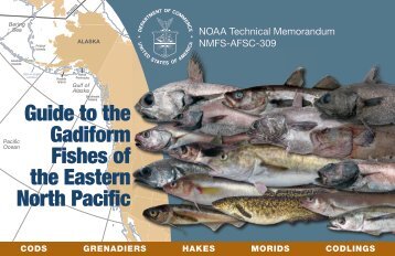 Guide to the Gadiform Fishes of the Eastern North Pacific