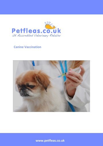 Canine Vaccinations