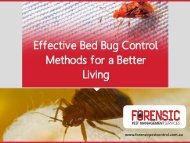 Get Effective Bed Bug Control Services in Sydney