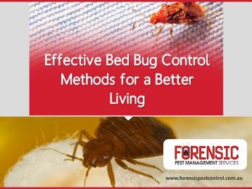 Get Effective Bed Bug Control Services in Sydney