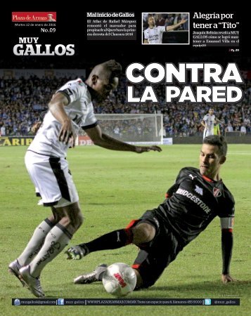 Muy_Gallos#9