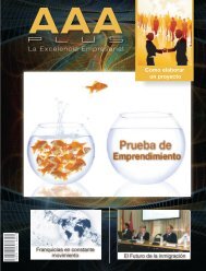 Edicion No 17 AAA Plus Magazine