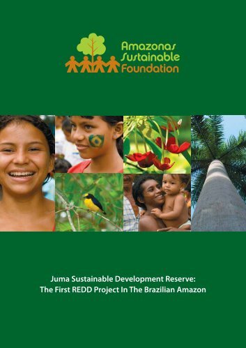 Juma Sustainable Development Reserve: The ... - The REDD Desk