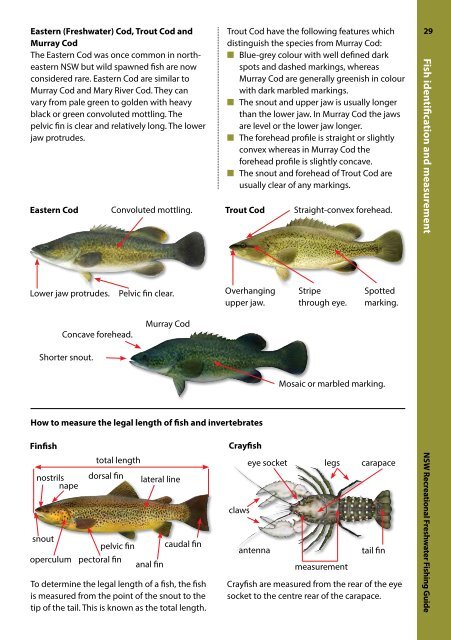 freshwater-recreational-fishing-guide-2016-17