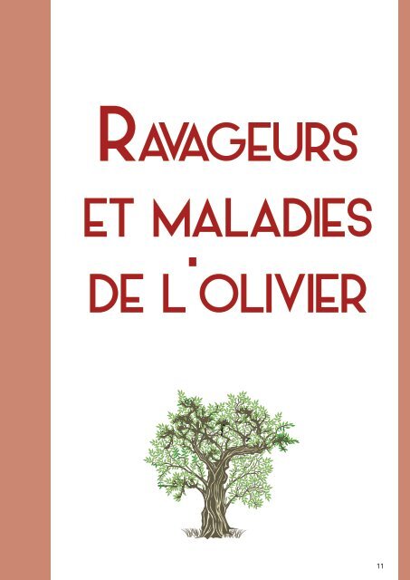 PROTECTION RAISONNEE ET BIOLOGIQUE DES OLIVIERS