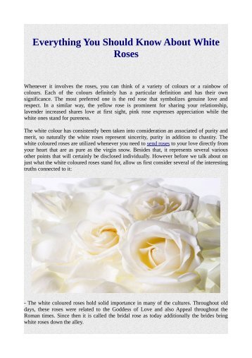 Everything You Should Know About White Roses