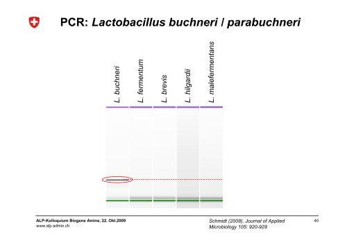 Biogene Amine in Käse - admin.ch