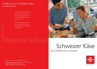 Schweizer Käse Käseland Schweiz - ritzycampus