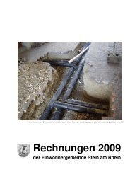 Jahresrechnung_2009 - Stein am Rhein