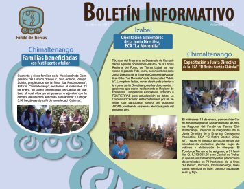 boletin 002 jan 2016