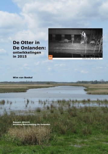 De Otter in De Onlanden