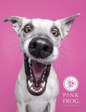 Catalog PinkFrog logo white