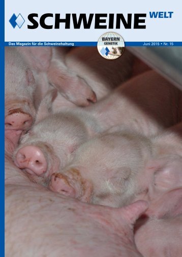 Schweine-Welt-Juni-2015-web