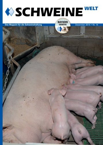 Schweine-Welt-2014-Dezember-web