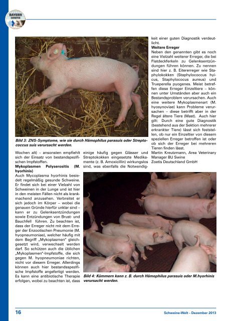 Schweine-Welt-2013-Dezember-web