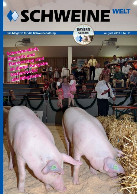Schweine-Welt-2013-August-web
