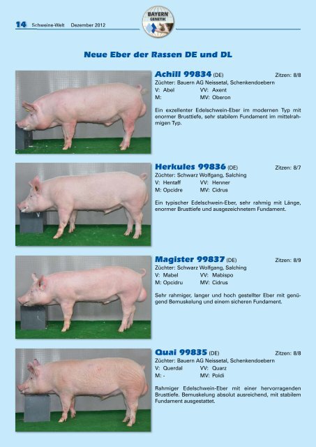 Schweine-Welt-2012-Dezember-web
