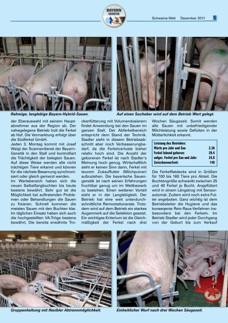 Schweine-Welt-2012-Dezember-web