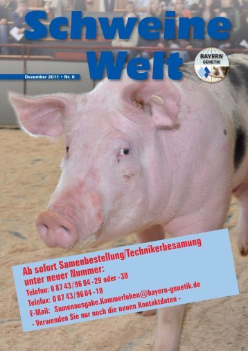 Schweine-Welt-2011-Dezember-web