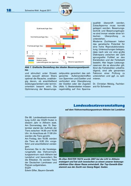 Schweine-Welt-2011-August-web