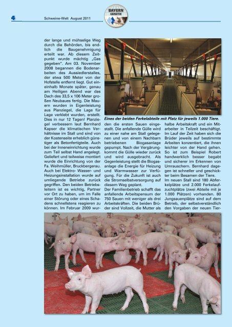 Schweine-Welt-2011-August-web